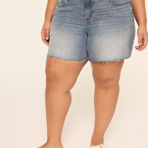 LANE BRYANT - MID RISE BOYFRIEND -  ORLANDO WASH - Size 20